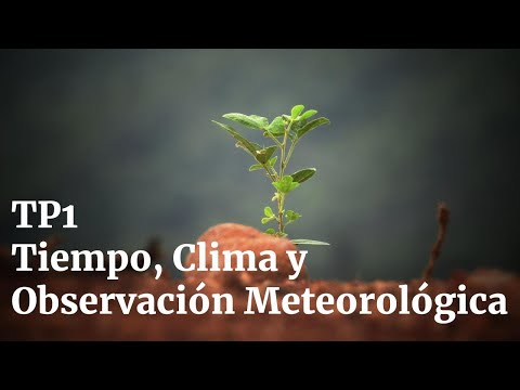 ¿Cuál Es El Horario De Trabajo De Meteorología?