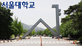 서울대학교에서 꼴찌하면 어떻게 살아갈까?