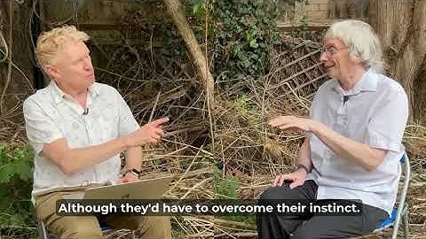 What is Explanatory Knowledge and Why It Powers Human Progress