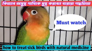 কিভাবে অসুস্থ পাখিকে সুস্থ করবেন ঘরোয়া পদ্ধতিতে//How to Treat Sick Birds with Natural Medicine.
