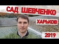 Городской сад им. Т.Г. Шевченко, Харьков | Парк Шевченко в Харькове