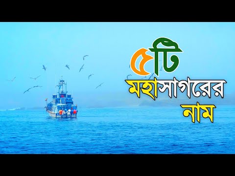 ভিডিও: একটি মহাসাগরের অববাহিকা কি একটি মহাসাগর?