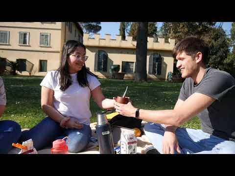 Mate , a special drink from Latin America