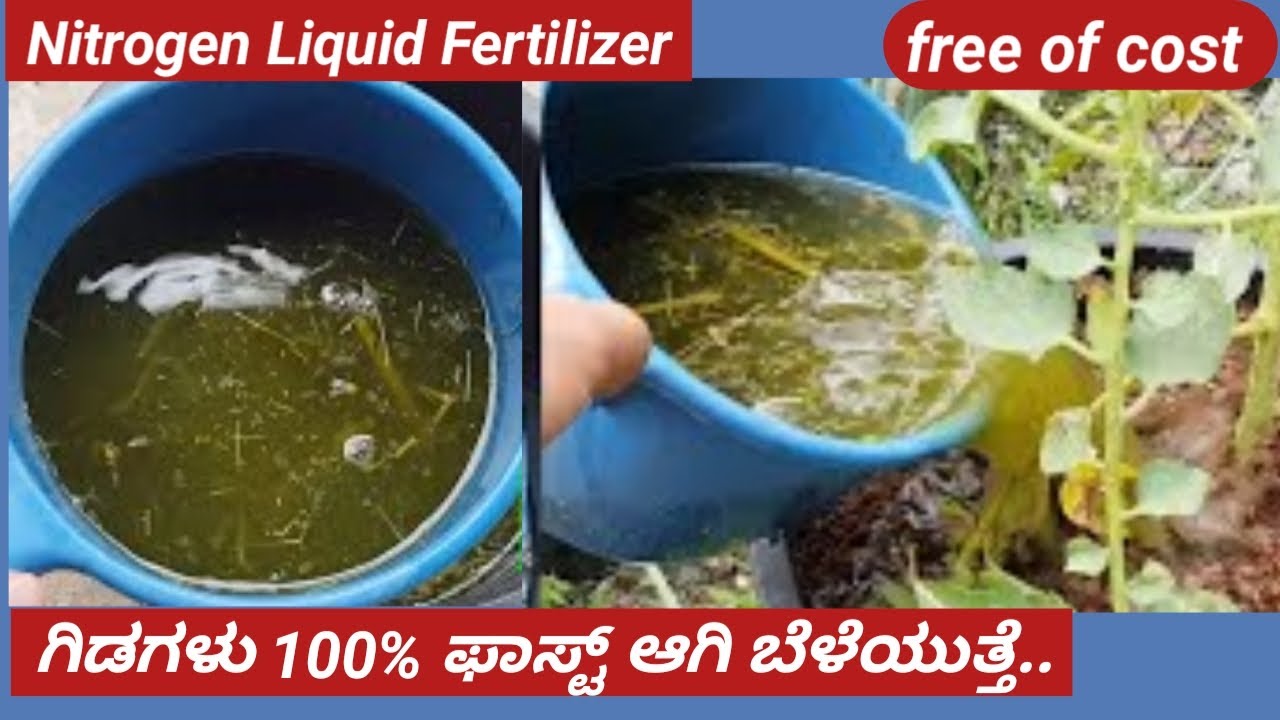 How To Make Nitrogen Rich Fertilizer At Home