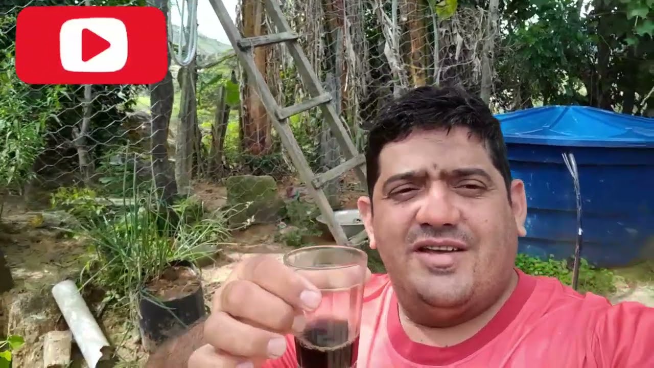 LIMPEZA DO QUINTAL PARTE 2 MAIS MOSTRANDO BISCOITOS QUENTINHO 