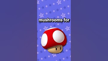 TINY shortcuts in Mario Kart Wii???