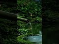 Relax your Mind With Peacefull Music And Waterflowing #shorts #relaxingmusic