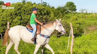 VAQUEIRINHO THEU E A GABY BRUTINHA MONTANDO A TROPA NO HARAS NOSSA SRA DO Ó