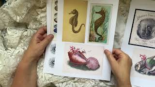 **NEW OCEAN Themed Ephemera Kit. screenshot 3