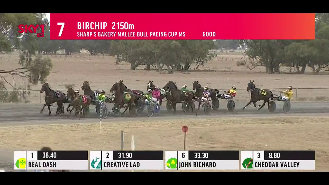 2021 BHRC BIRCHIP CUP - YouTube