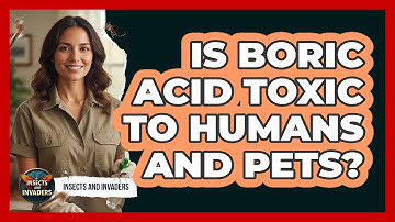 Is Boric Acid Toxic To Humans And Pets? - Insects and Invaders