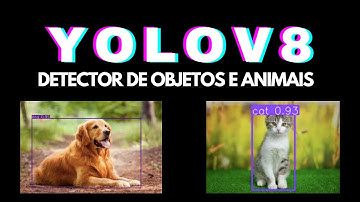 Como identificar objetos e animais com YOLO v8: teste com imagens utilizando modelo pré-treinado