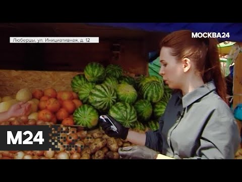 "Городской стандарт": дыни и арбузы - Москва 24