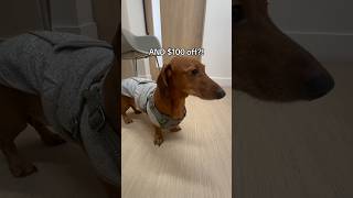 check out our favorite vet 😍 it’s an awesome for “paranoid pet parent” moments