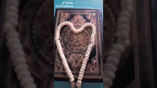 سروة البكرا