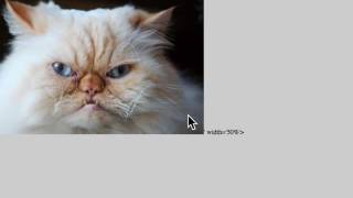 CNIT 129S: 12: Attacking Users: Cross-Site Scripting (Part 2 of 3)
