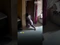Brave woman single-handedly stops robbery, protects her house against 3 people in Amritsar