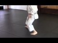 Karate Continuity of Movement 02