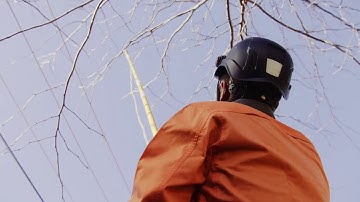 Evoenergy - Managing vegetation around the electricity network