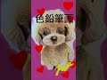 #クレイジーケンバンド #トイプードル #かわいい