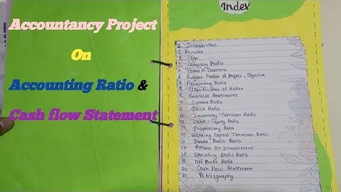 Accountancy Project on Cash flow Statement & Accounting Ratio | @LearningMembers 