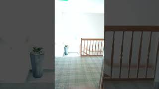 Buder-Aufzug Im Ferien Hotel Spree-Neiße Roggosen