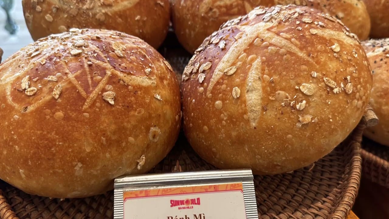 Vietnam Da Nang Hue Great food Sept 2024 越南 岘港、顺化——美食之旅，2024年9月