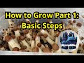 How To Grow Mushrooms At Home in 2023: The Basic Steps (Mushroom Mastery Series Ep.1, Mycology)
