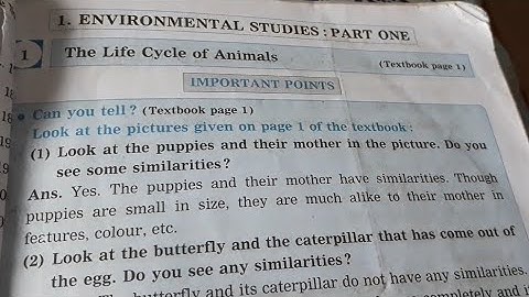 Std. 4 EVS. 1 Lesson. 1 The Life Cycle of Animals Digest