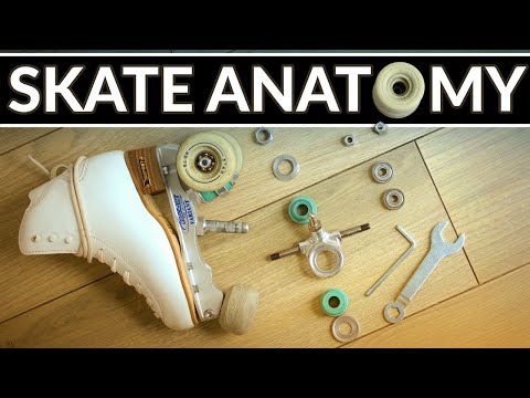 Anatomy of a Roller Skate 