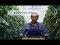 Think a Job Is the Only Way to Work With the World Bank? Think Again