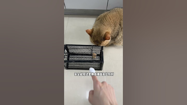 【牛奶是只猫】家里进老鼠了，猫不是天生会抓老鼠的吗？怎么一个个都...