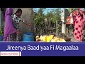 AMECO HIBIR FUULLEE Jireenya Baadiyaa Fi Magaalaa 21 10 2017 AMECO HIBIR FUULLEE Jireenya Baadiyaa Fi Magaalaa 21 10 2017