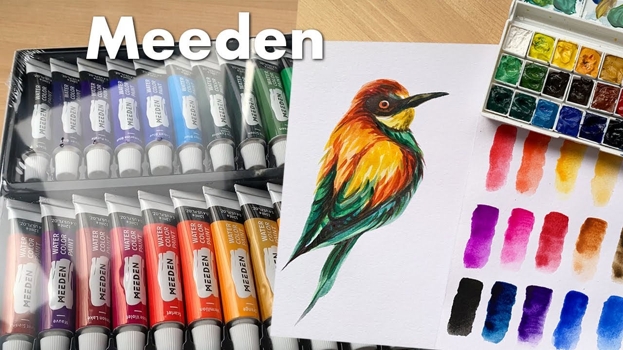 Most Requested Cheap Paint Review! MEEDEN Watercolor 48 Pans/ 24 Tubes  review & comparison 