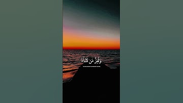 #قران_كريم #دعاء #تلاوة_خاشعة #تيك_توك #اكسبلور #راحة_نفسية #لايك #ترند #alquran #دويتو