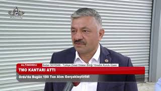 Toprak Mahsülleri Ofisi Fındık Alımına Başladı