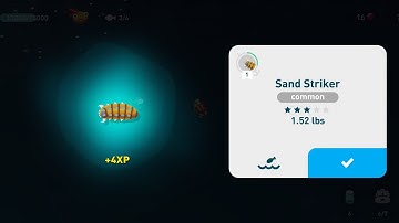 creatures of the deep - sand striker