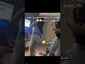 نحن الشباب غير طمني عنك منشان الله شلونك يا فاروق ايو ايو الشعب الصيني ماله حل تفاعلكم سر نجاحنا 