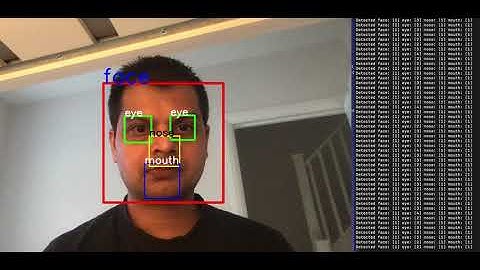 Detect face, nose, eye and mouth