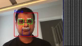 Detect face, nose, eye and mouth
