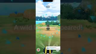 ✨XXS Shiny Deino CAUGHT In Pokemon Go!✨ #shorts #pokemon
