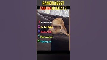 Ranking Best Failing Moments (part 05)#funny fails #funnyvideo #funnyshort#funny@failzfamily