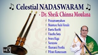 Dr. sheik chinna moulana - celestial nadaswaram classical instrumental
jukebox