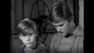 EL FUGITIVO 2024 - SERIE CLÁSICA DE LOS AÑOS 60- Título:En una simple envoltura-CAPÍTULOS COMPLETOS