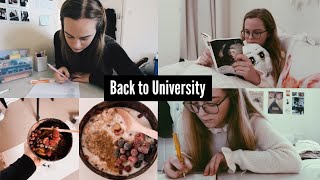 Moving Back to University (lots of studying)