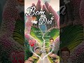 BOM DIA! QUE NADA ROUBE A SUA PAZ SIGA COM FÉ E GRATIDÃO CONFIANDO NAS BÊNÇÃOS DE DEUS. #DEUS