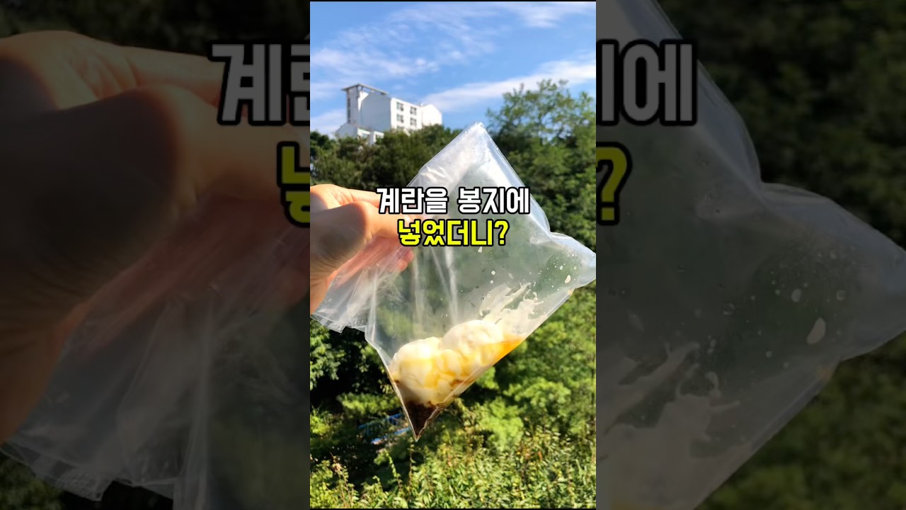 봉지에 계란 넣었더니? 아침 식사 대용 건강 레시피 — 건강한끼 레시피 썸네일