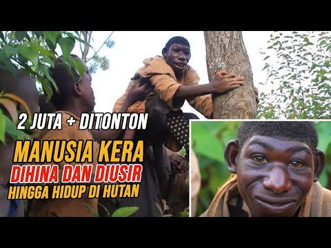 Video: Afanasy Nikitin's Walking Beyond the Equator atau India di Hemisfera Selatan