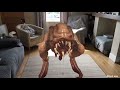 Org frog arvid augmented reality