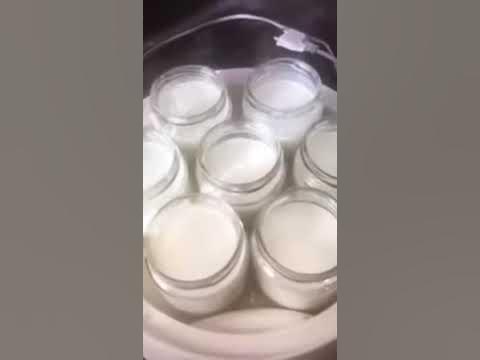 Йогурт в домашних условиях с пробиотиком LR ( pro 12) - YouTube